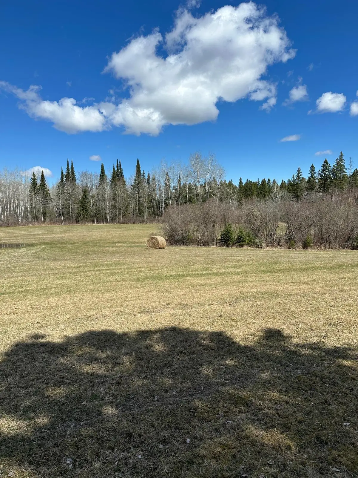 TBD 307, Blackduck, MN 56630 - #1