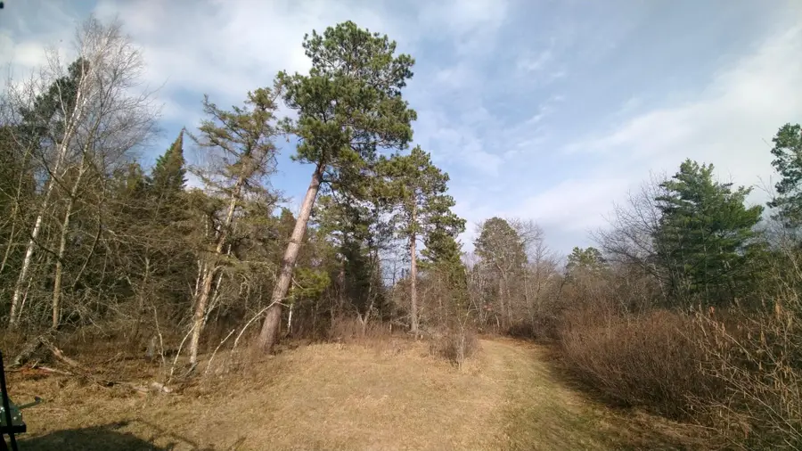 50126 County 29, Bemidji, MN 56601 - #3