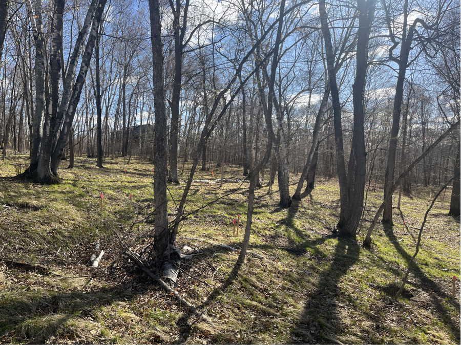 TBD Wilderness Parkway, Crosslake, MN 56442 - #3