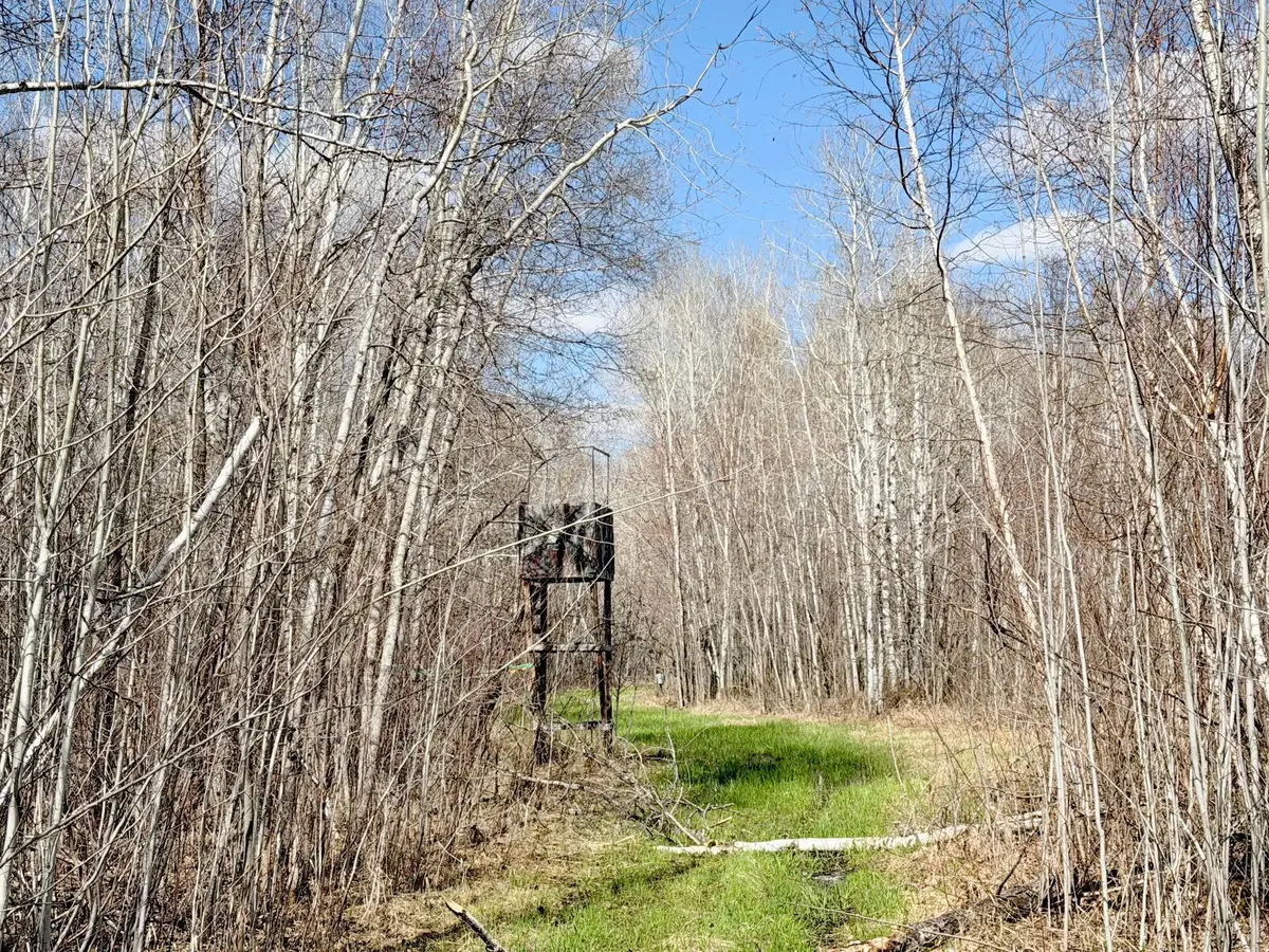 TBD Nature Avenue, Palisade, MN 56469 - #1
