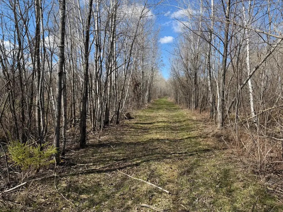 TBD Nature Avenue, Palisade, MN 56469 - #3