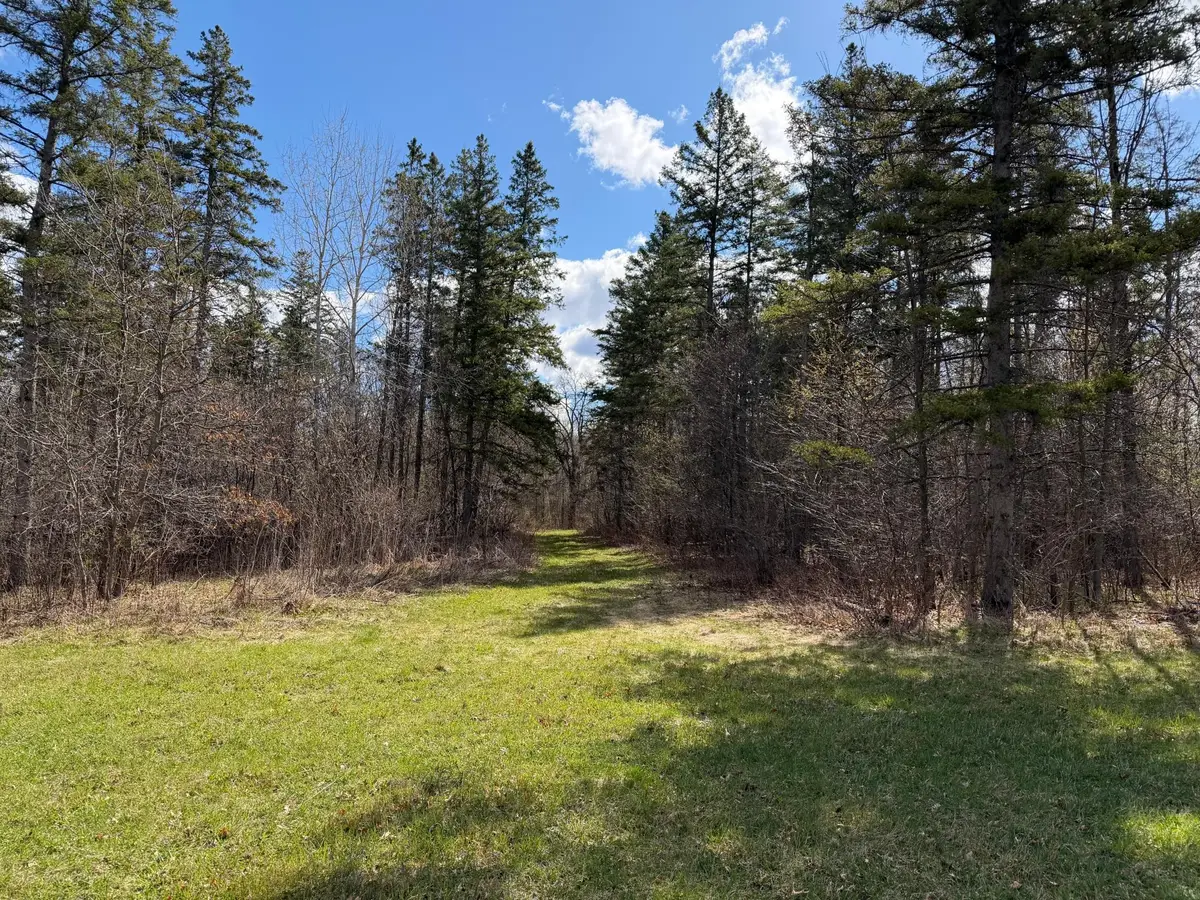 TBD County Road 144, Brainerd, MN 56401 - #1