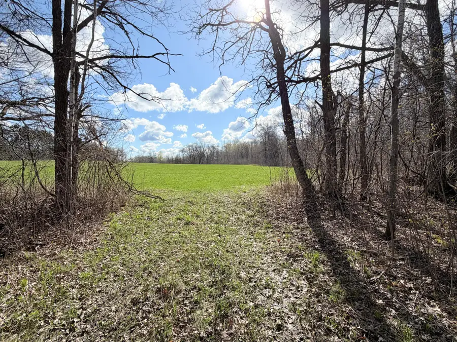 TBD County Road 144, Brainerd, MN 56401 - #2