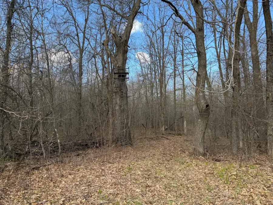 TBD County Road 144, Brainerd, MN 56401 - #3
