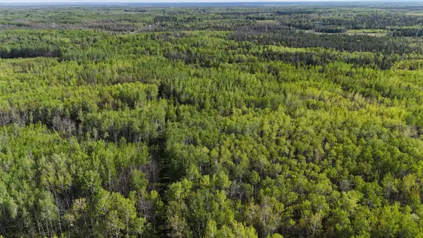 TBD Town Road 118, Baudette, MN 56629