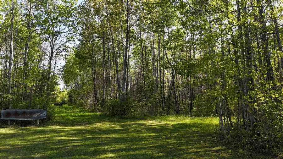 TBD Town Road 118, Baudette, MN 56629 - #2