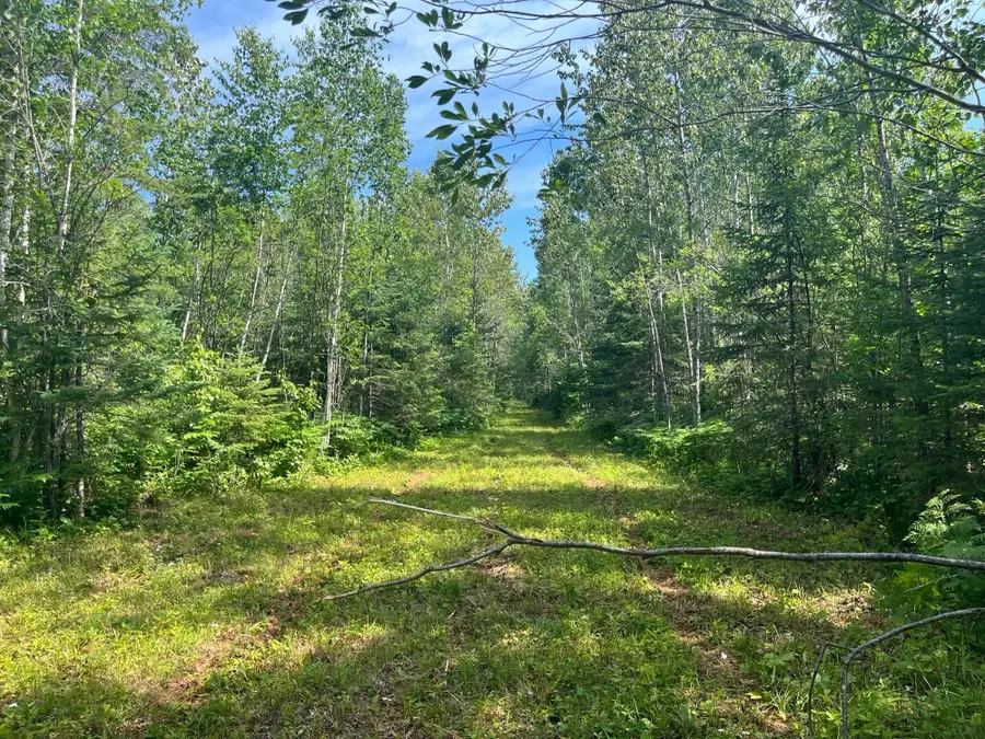TBD Town Road 118, Baudette, MN 56629 - #3