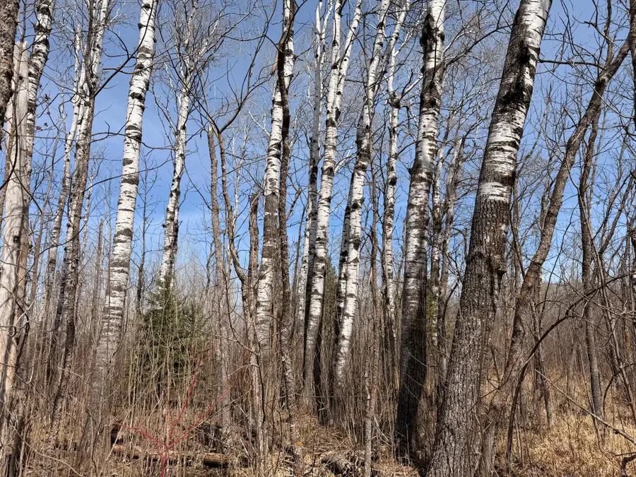_ _, Grygla, MN 56727 - #2