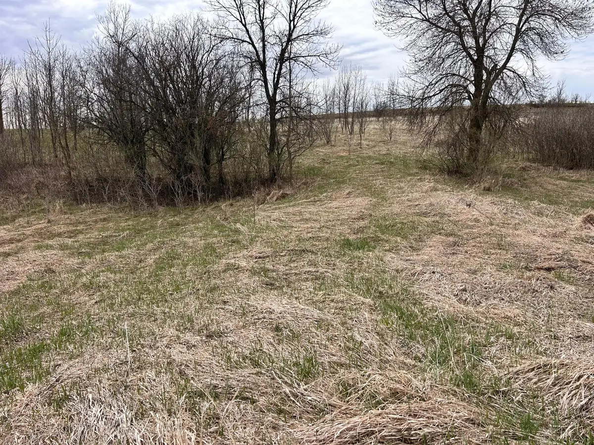 Lot 20 215th Street, Barrett, MN 56311 - #1