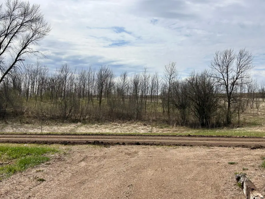 Lot 20 215th Street, Barrett, MN 56311 - #2