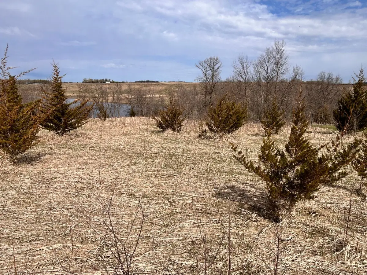 Lot 6 215th Street, Barrett, MN 56311 - #1