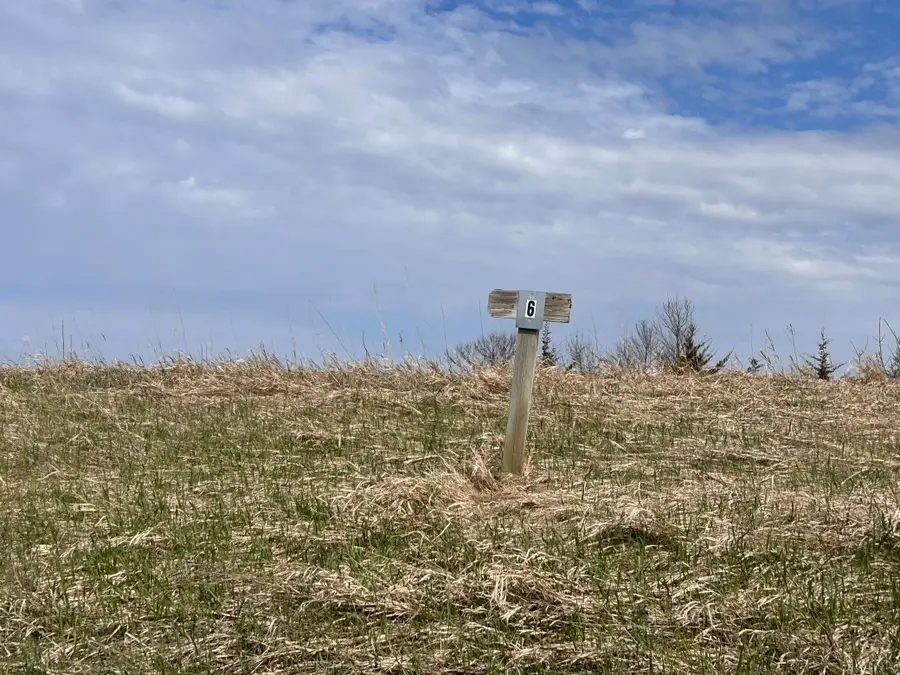 Lot 6 215th Street, Barrett, MN 56311 - #3