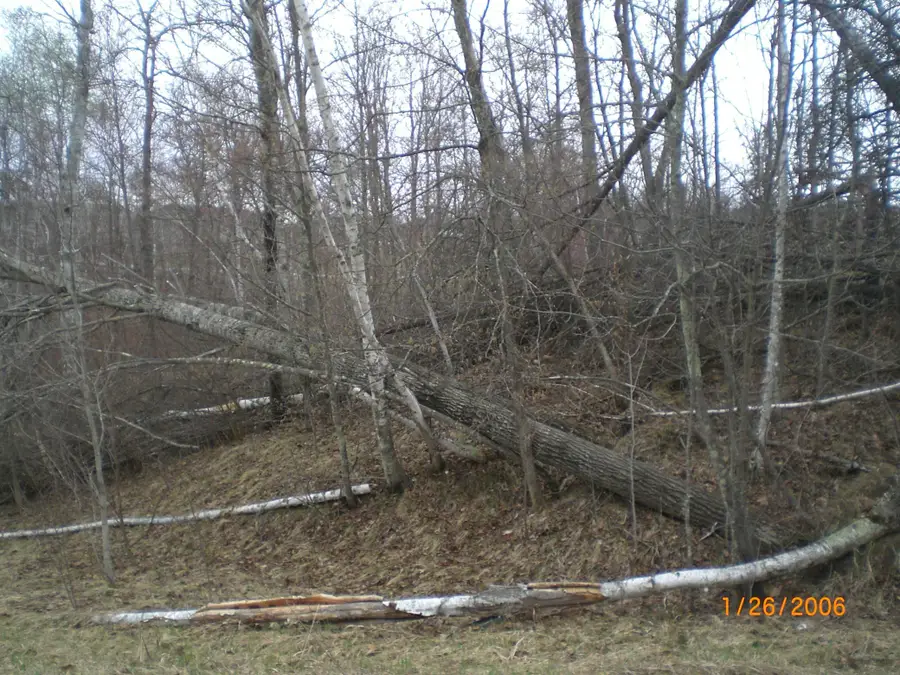 Lot 18 Terminal Road, Pequot Lakes, MN 56472 - #2