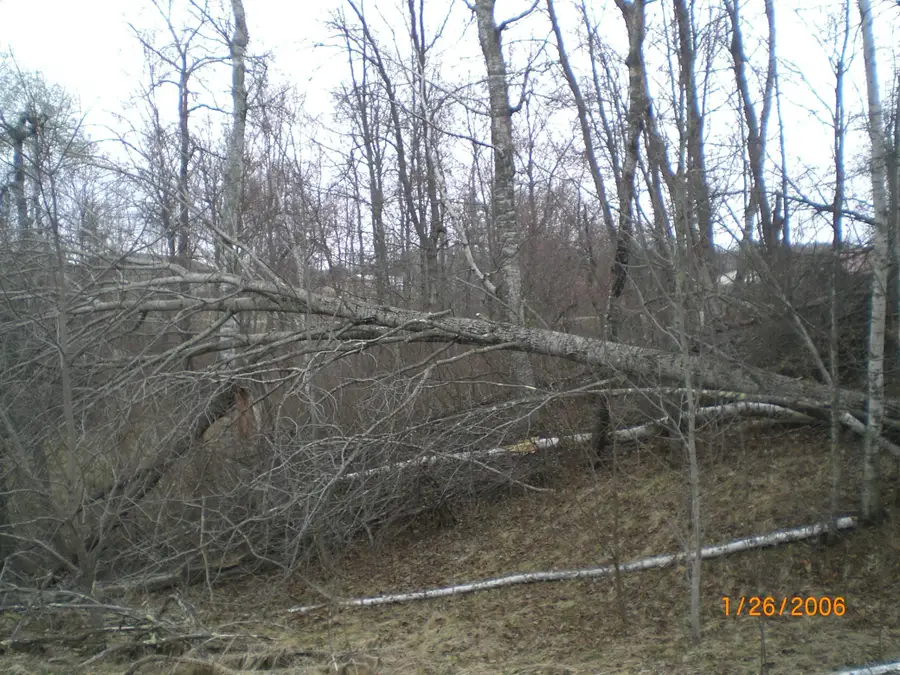 Lot 18 Terminal Road, Pequot Lakes, MN 56472 - #3