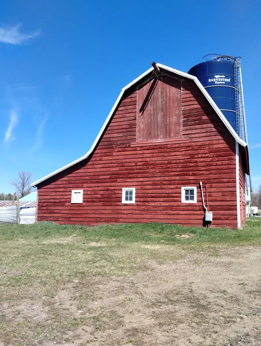 18134 170th Street, Pliny, MN 56350 - #3