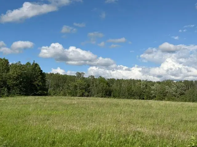 TBD County 63, Boy River, MN 56672 - #1