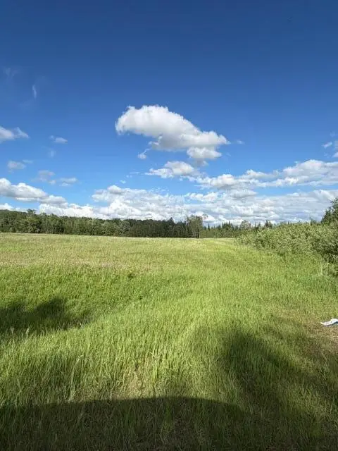 TBD County 63, Boy River, MN 56672 - #2
