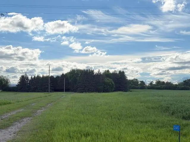 TBD County 63, Boy River, MN 56672 - #3