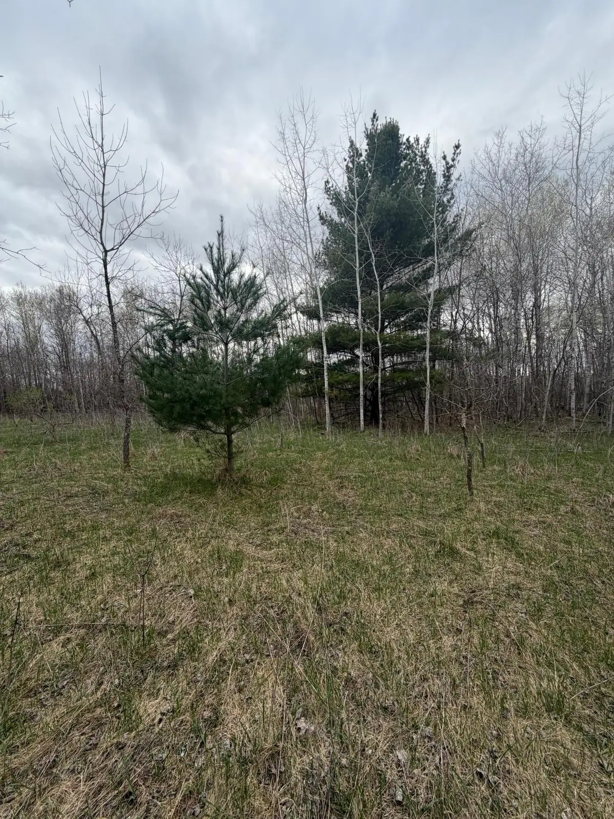 TBD Ottawa, Browerville, MN 56438 - #1