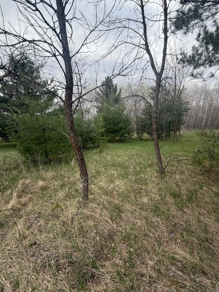 TBD Ottawa, Browerville, MN 56438 - #2