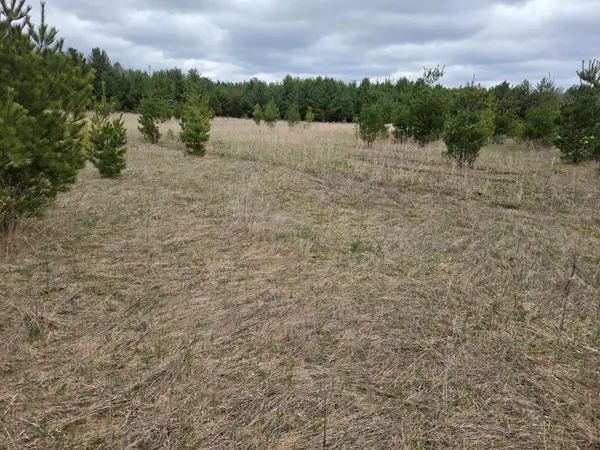 TBD 450th St - Parcel B, Laporte, MN 56461