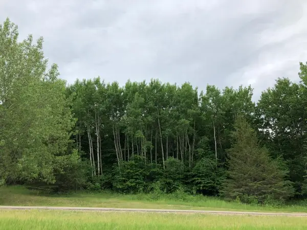 27945 Timber Lane Road, Paynesville, MN 56362