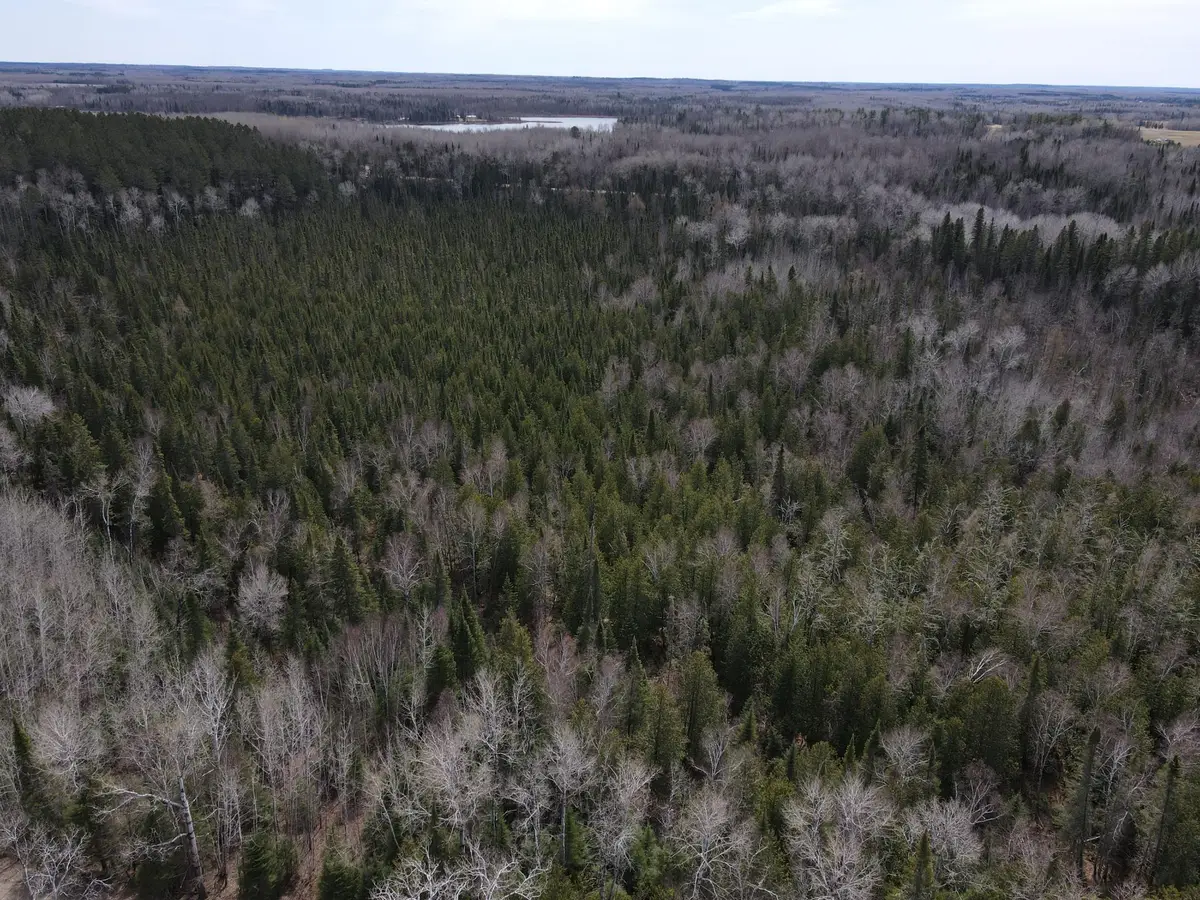 TBD Co Rd 40, Effie, MN 56639 - #1