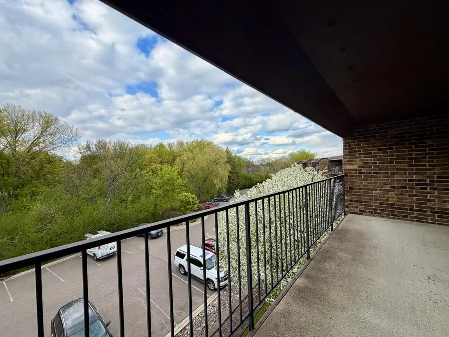 35 Nathan Lane N #325, Minneapolis, MN 55441 - #3