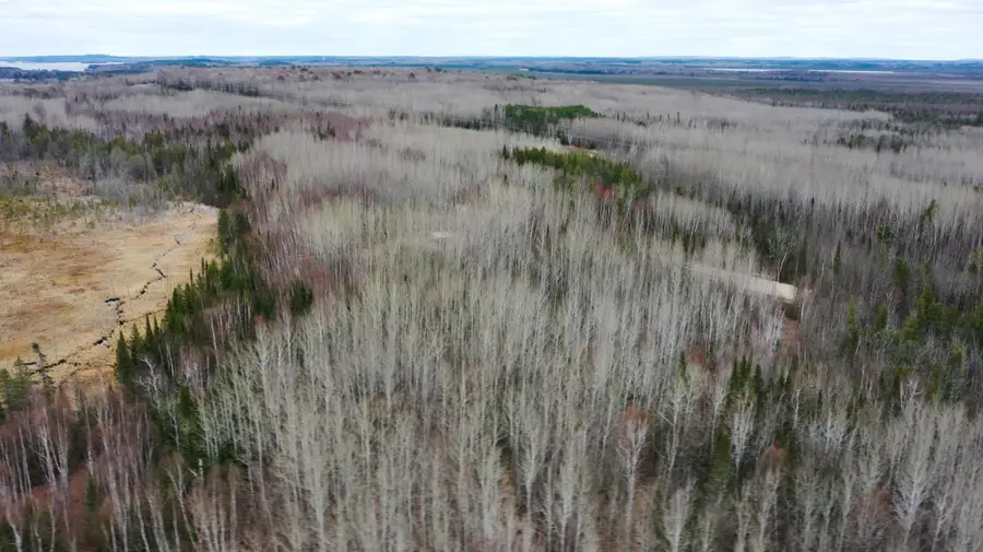 TBD Parcel 14 Hwy 115, Tower, MN 55790 - #2