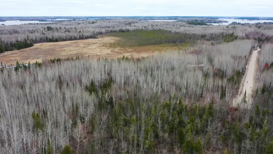TBD Parcel 14 Hwy 115, Tower, MN 55790 - #3