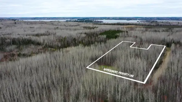 TBD Parcel 20 Hwy 115, Tower, MN 55790