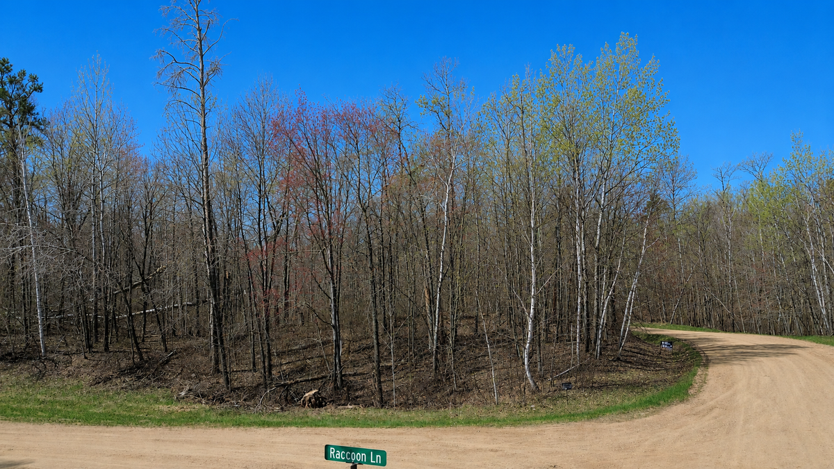 TBD Flower Trail, Breezy Point, MN 56472 - #1
