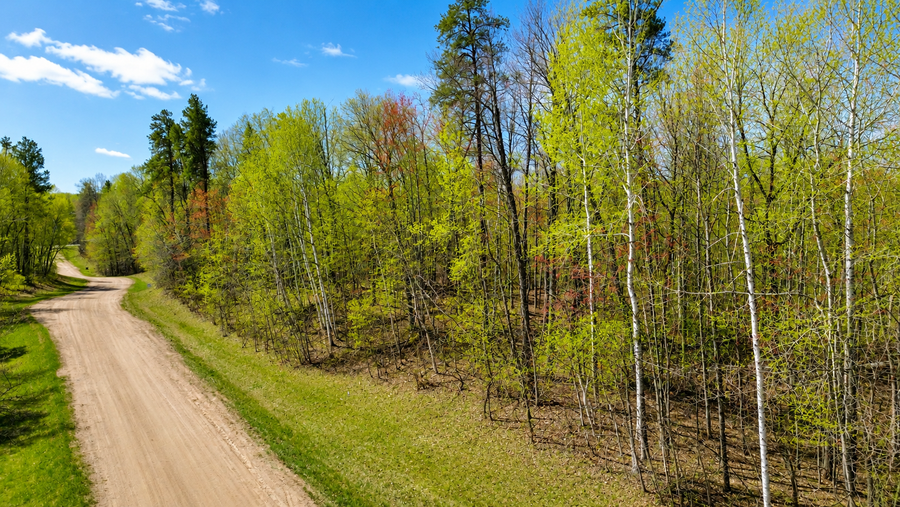 TBD Flower Trail, Breezy Point, MN 56472 - #3