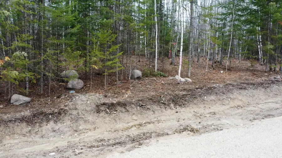 TBD Parcel V Frazer Bay Road, Cook, MN 55723 - #2