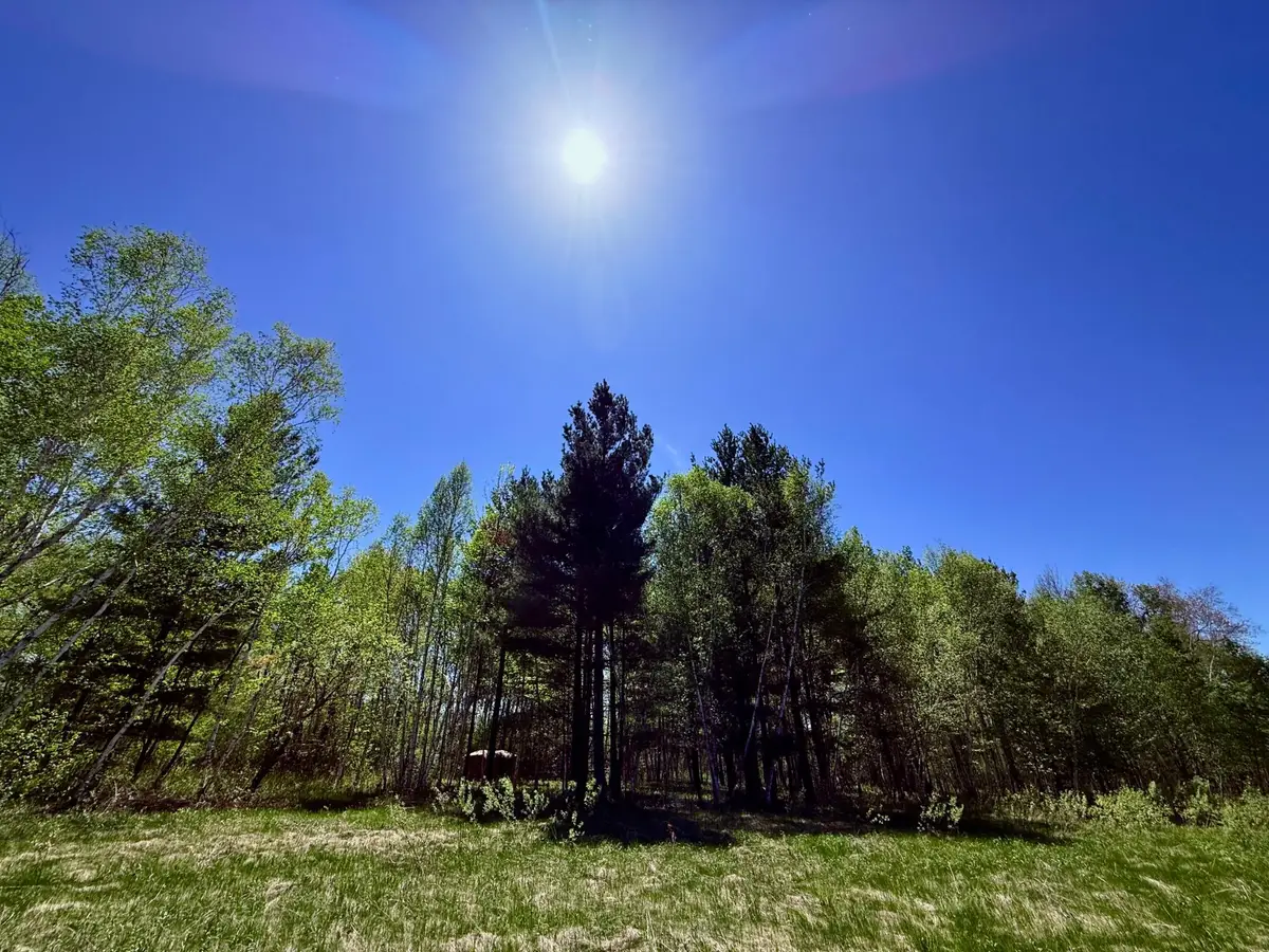 TBD Ivy Rd., Borgholm, MN 56353 - #1