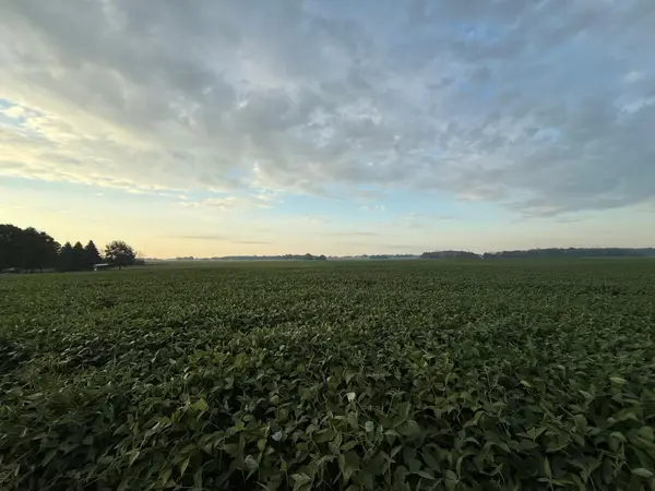 TBD 265th Avenue, Belle Plaine, MN 56011