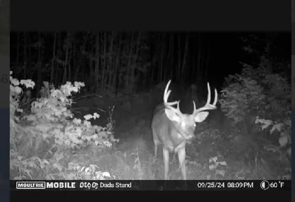 TBD Us Hwy 2, Bagley, MN 56621