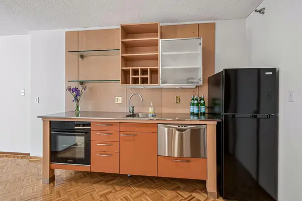 1225 Lasalle Avenue #301, Minneapolis, MN 55403