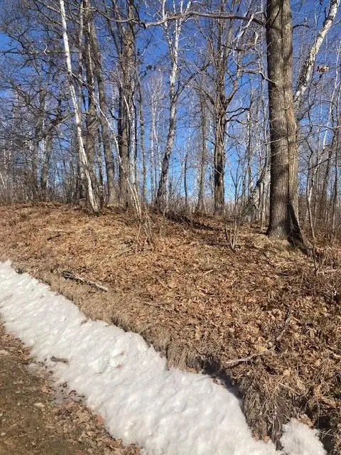 TBD Sherwood Drive Sw, Motley, MN 56466 - #2