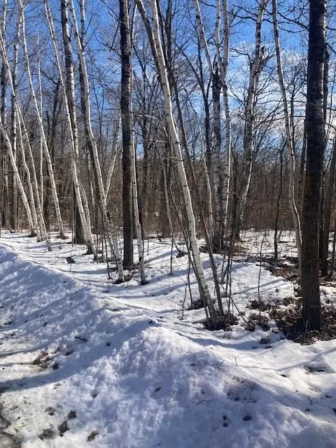 TBD Sherwood Drive Sw, Motley, MN 56466 - #3