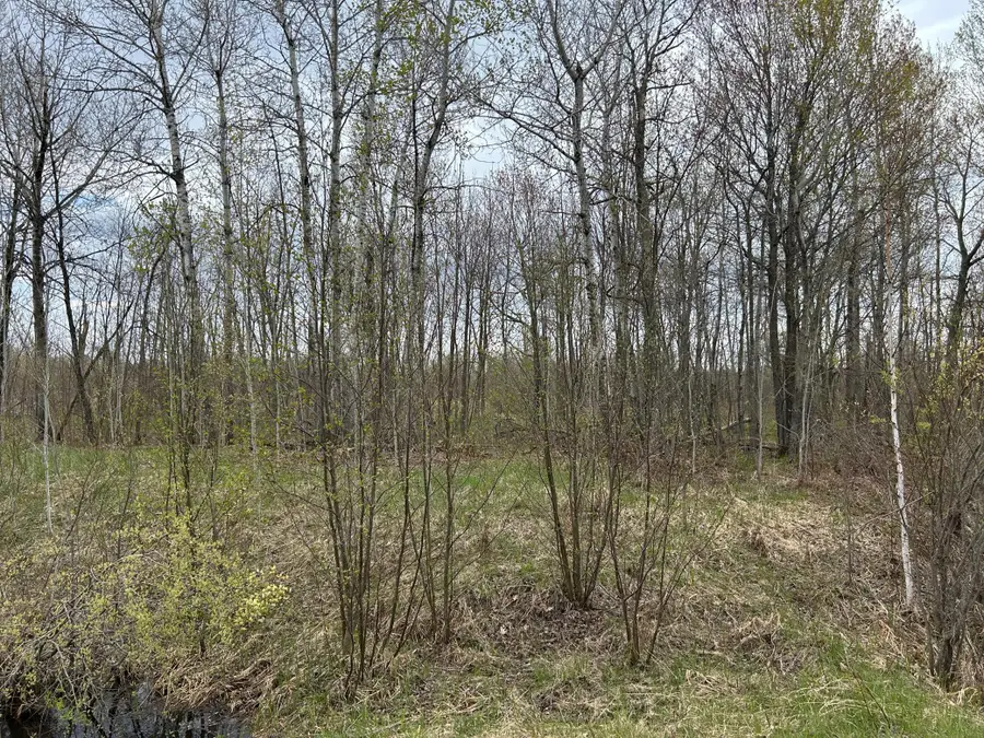 TBD 250th Street, Aitkin, MN 56431 - #3