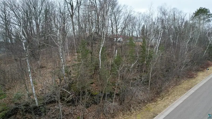 XXX W Palm Street, Duluth, MN 55811 - #2