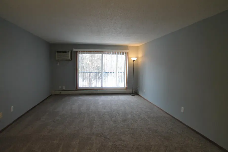 3155 Coachman Road #308, Eagan, MN 55121 - #3