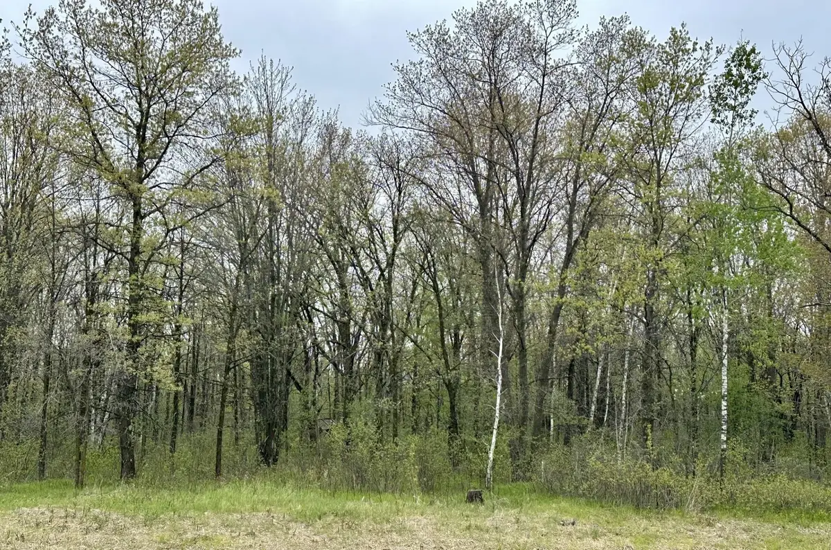 TBD Jewel Road, Little Falls, MN 56345 - #1