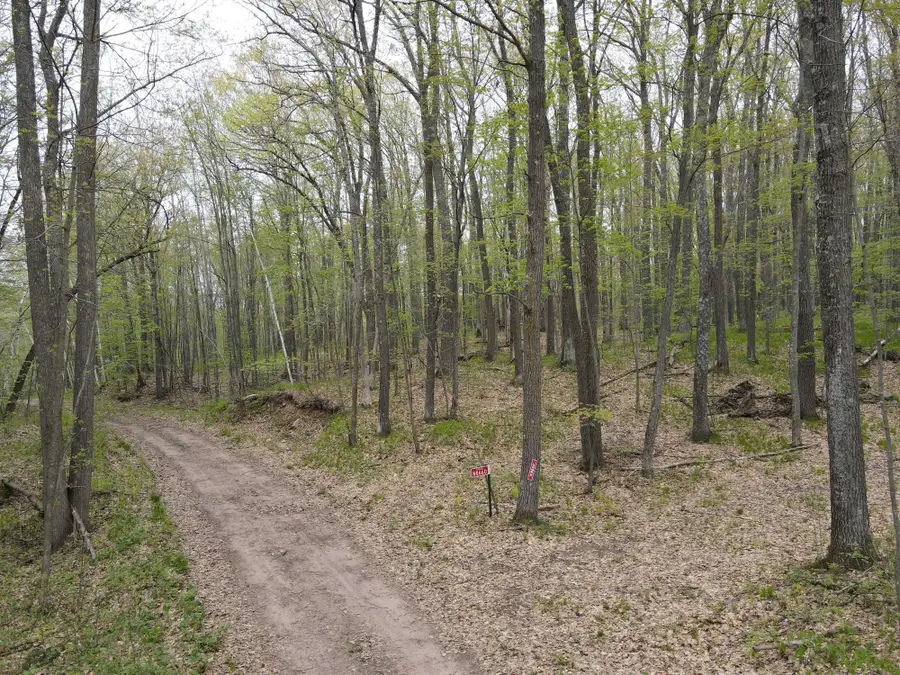 N8661 Sand Pit Road, Trego, WI 54888 - #3