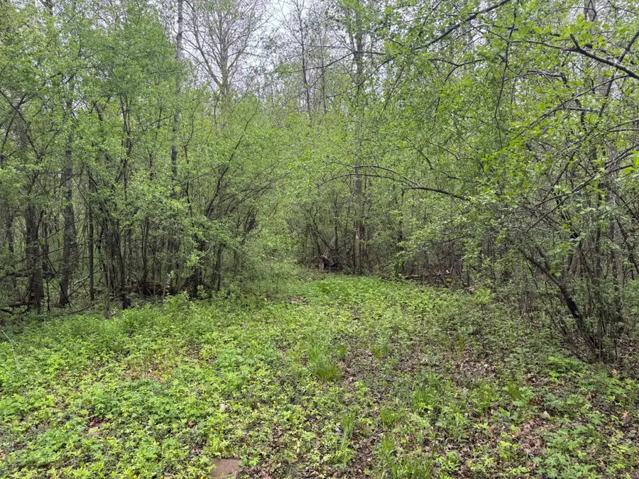 13xxx Hwy 23, Milaca, MN 56353 - #2