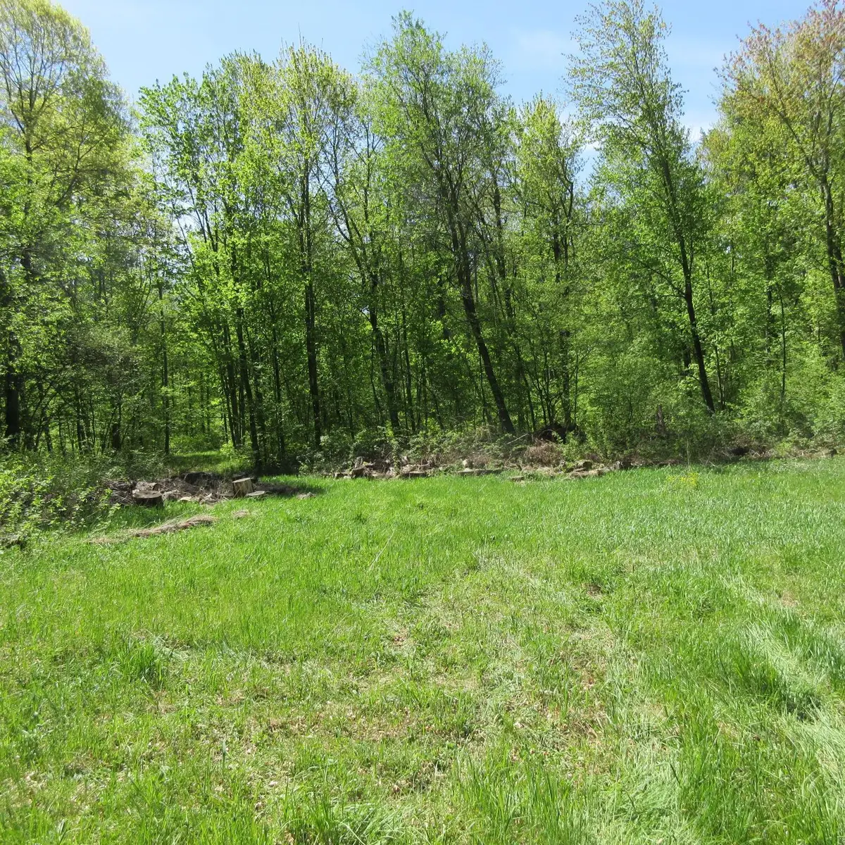 xxx 810th Avenue, Sherman, WI 54751 - #1
