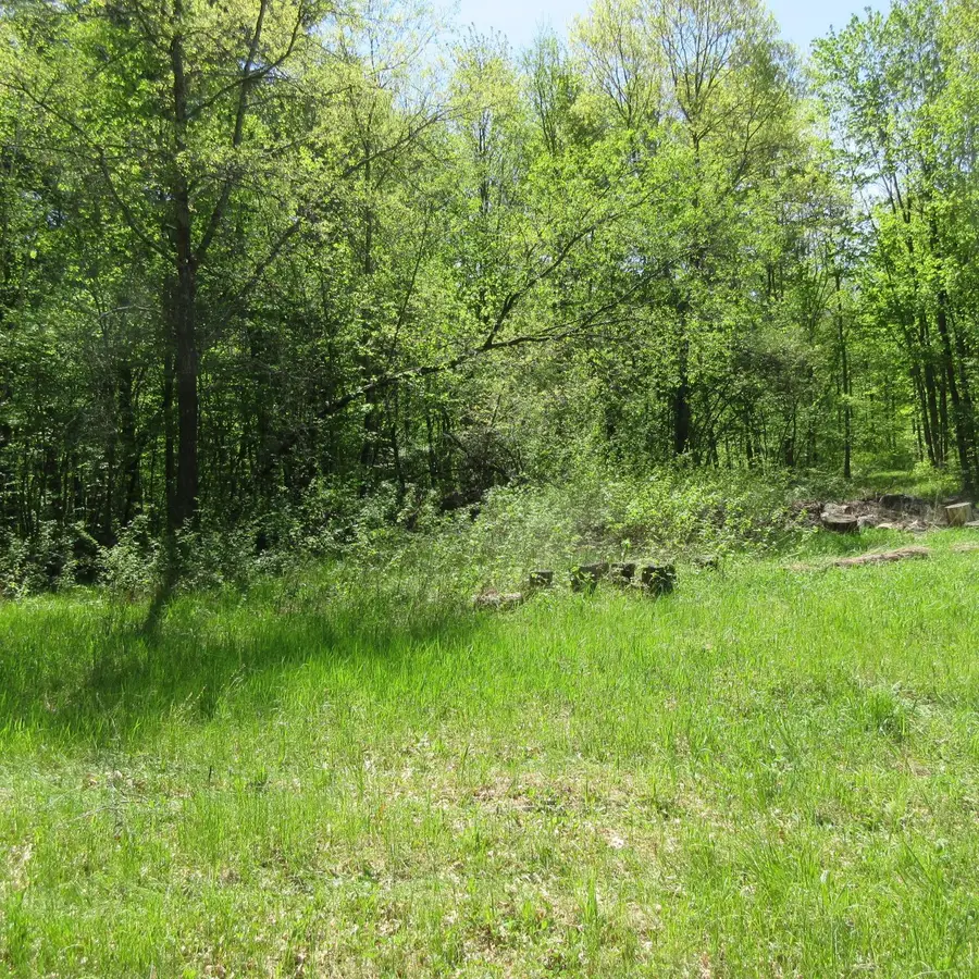 xxx 810th Avenue, Sherman, WI 54751 - #2