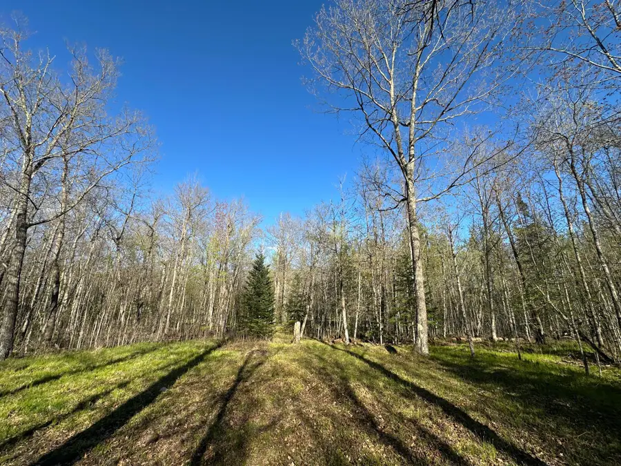 TBD #1 110th Avenue, Finlayson, MN 55735 - #2