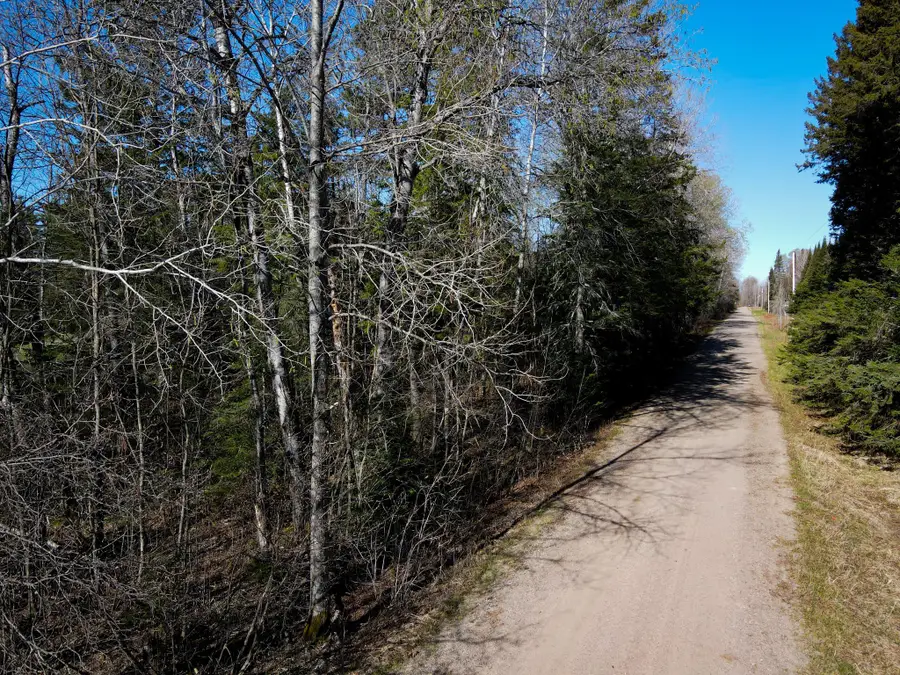 12905 Township Road D, Wawina, MN 55736 - #3